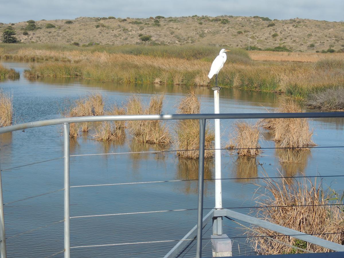 Ps Federal Retreat Paddle Steamer Goolwa Zewnętrze zdjęcie